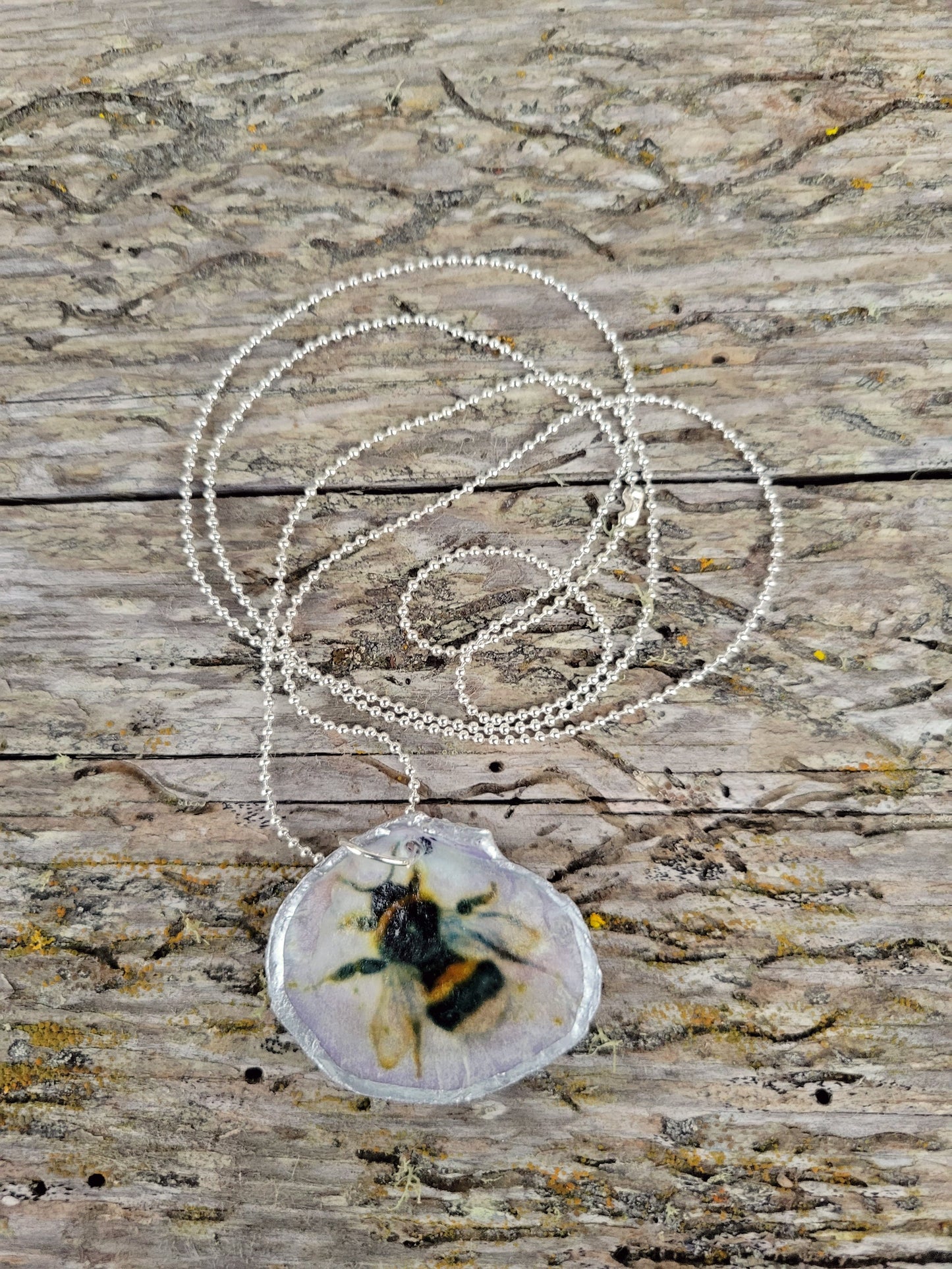 ***SOLD***Hood Canal Seashell Necklace - Bee - 18k Gold Trim - Carrie Goller
