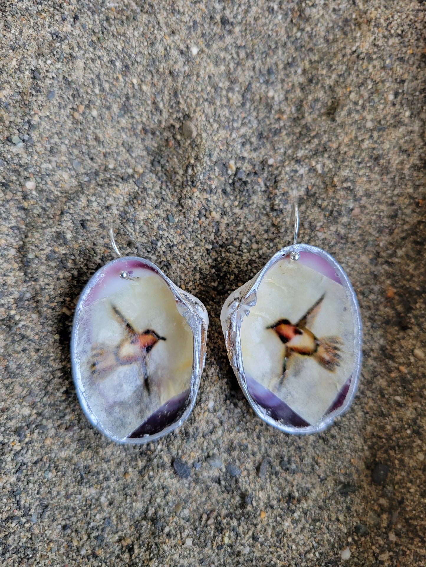 ***SOLD***Hood Canal Seashell Earrings - Hummingbird - 18k Gold Trim - Carrie Goller