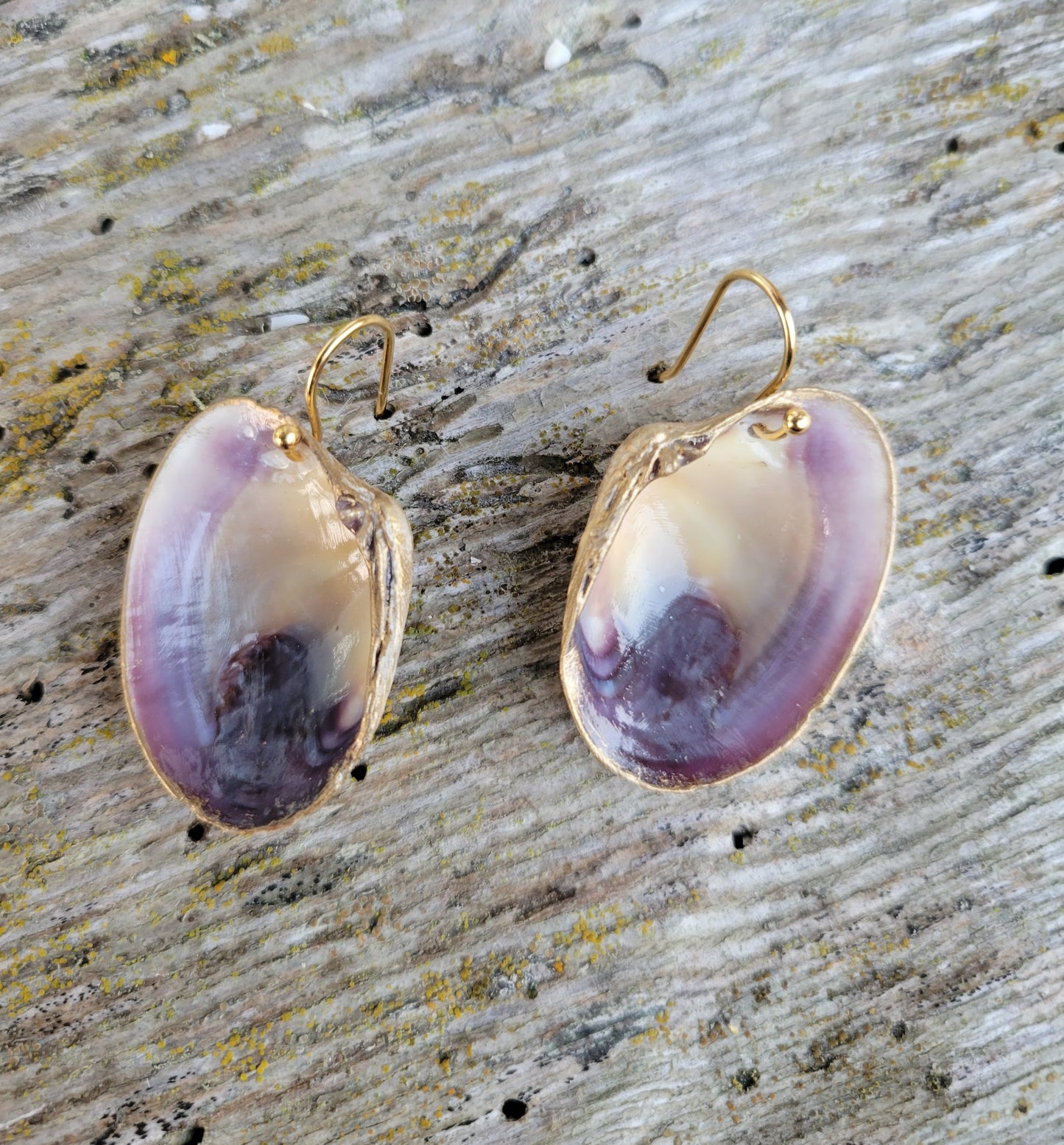 Hood Canal Seashell Earrings - Carrie Goller
