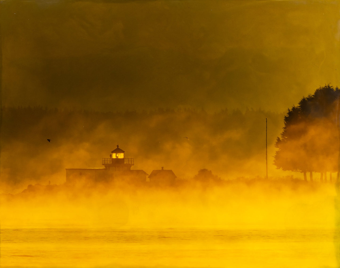 Bonnie Block - Pt. No Pt. Lighthouse 11X14 Fine Art Encaustic Photo on Wood Panel **SOLD**