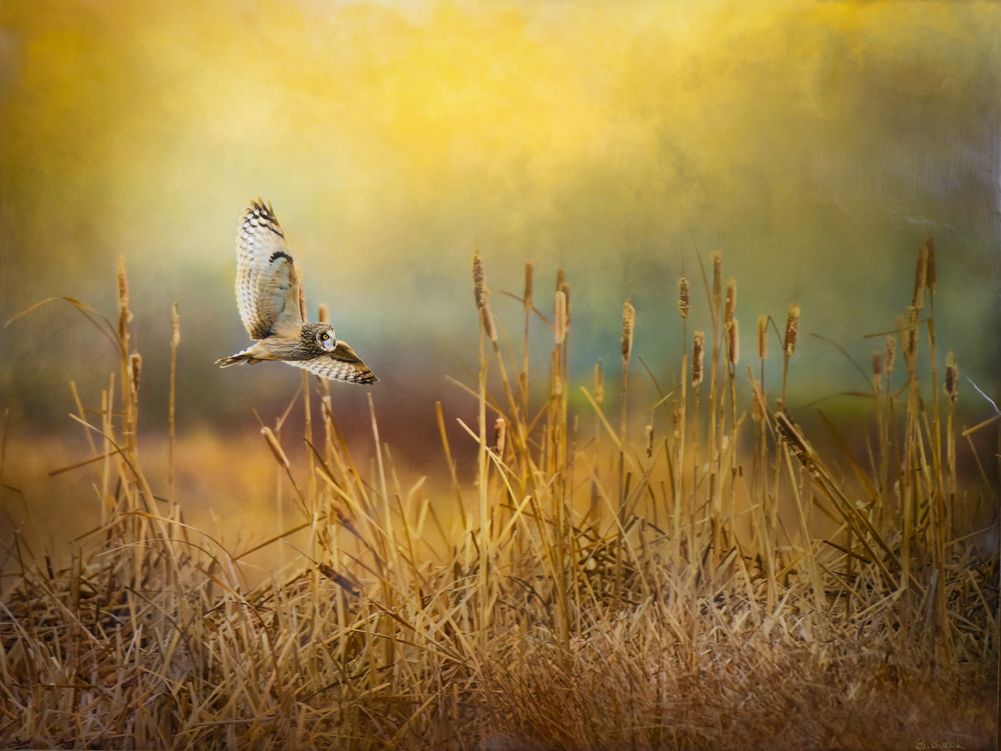 Bonnie Block - Searching the Field 18X24 Fine Art Encaustic Photo on Wood Panel ****SOLD****