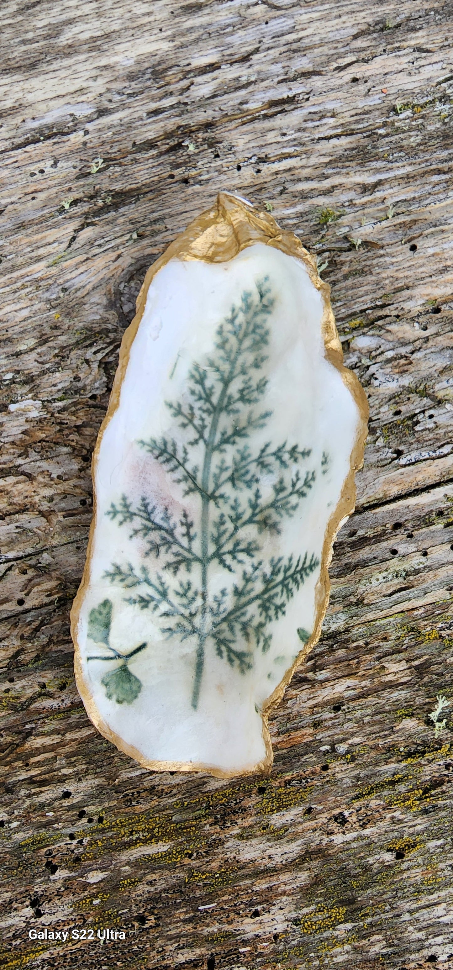 ***SOLD***Hood Canal Seashell - Delft Blue Clam with 18k Gold Trim - Carrie Goller