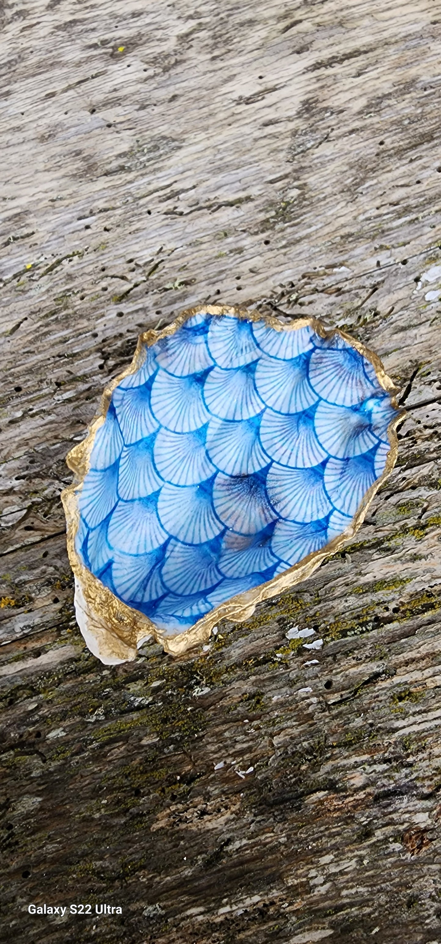 ***SOLD*** Hood Canal Seashell - Delft Blue Clam with 18k Gold Trim - Carrie Goller