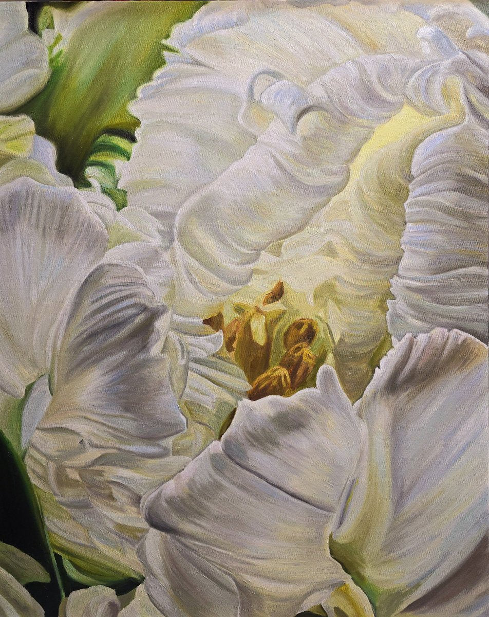 Jody Yashenko - Tulip, Oil on gallery wrapped canvas 30x24