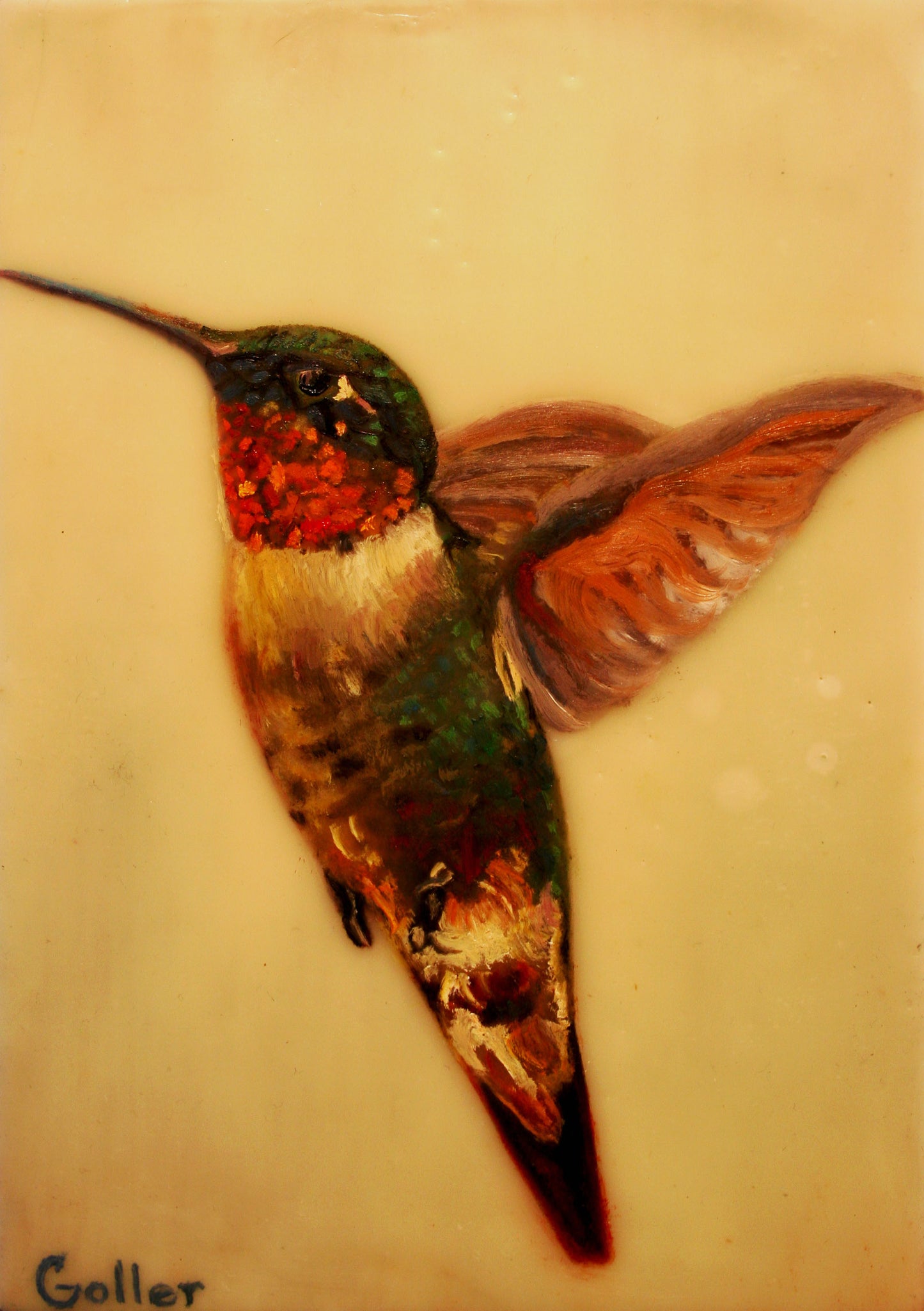 Prints available***SOLD*** Salt Pond cows - Oil - 48x24