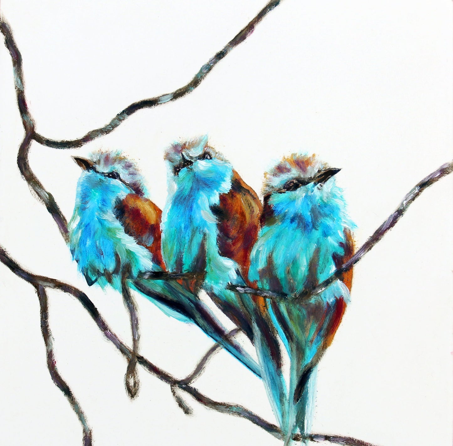 Amigos - CARRIE GOLLER PRINT - BIRDS