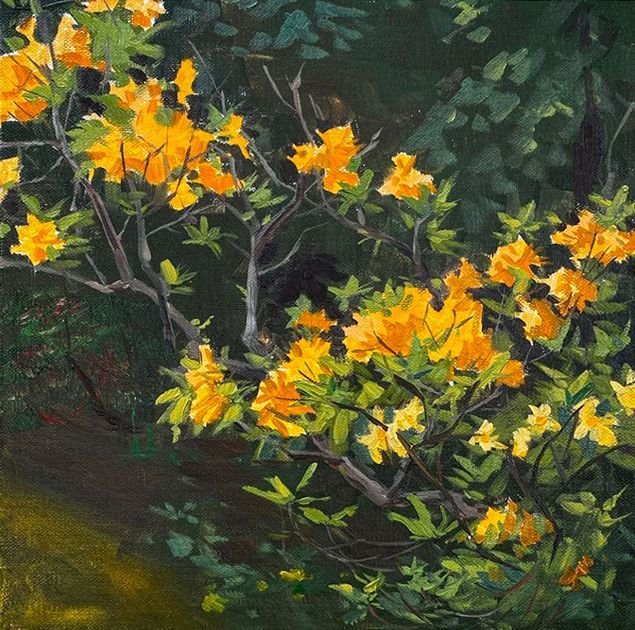 MAURY WEISS - Arboretum Bloom, Original Plein Air Oil on Panel, 8x8