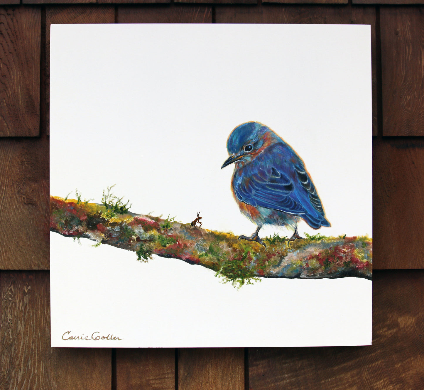 Prints available, original ***SOLD*** Balthazar - Oil 16x16