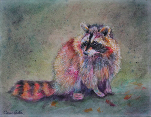 Prints available, original ***SOLD*** CARRIE GOLLER - Bandit, encaustic/watercolor 11x14 - AVAILABLE AT BAINBRIDGE ISLAND MUSEUM OF ART STORE