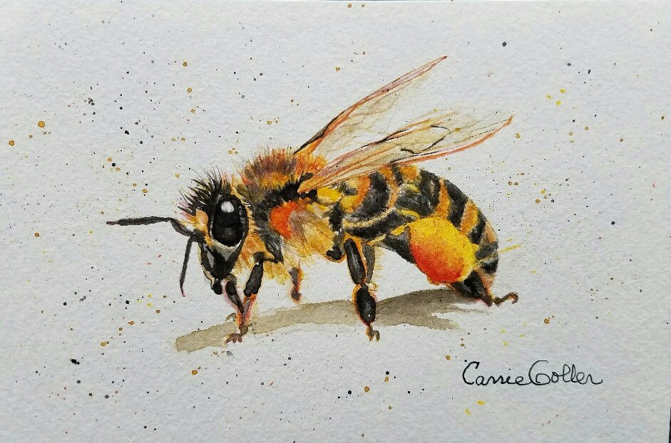 Prints available, original***SOLD***Pollen Spy- original 4x6 watercolor