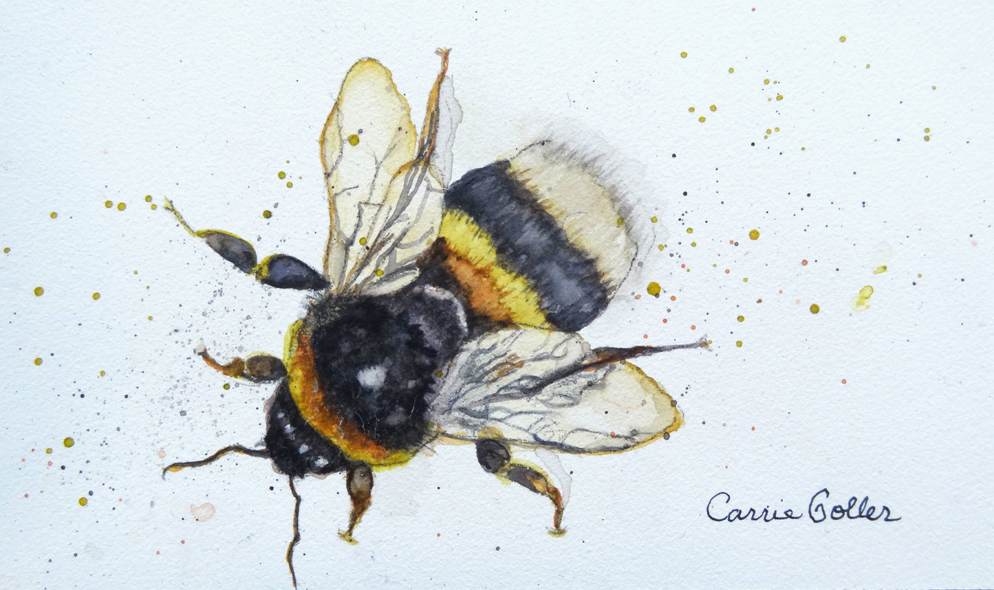 Prints available, original ***SOLD*** Beady Eyes - Watercolor 3 x 5 on a wood board