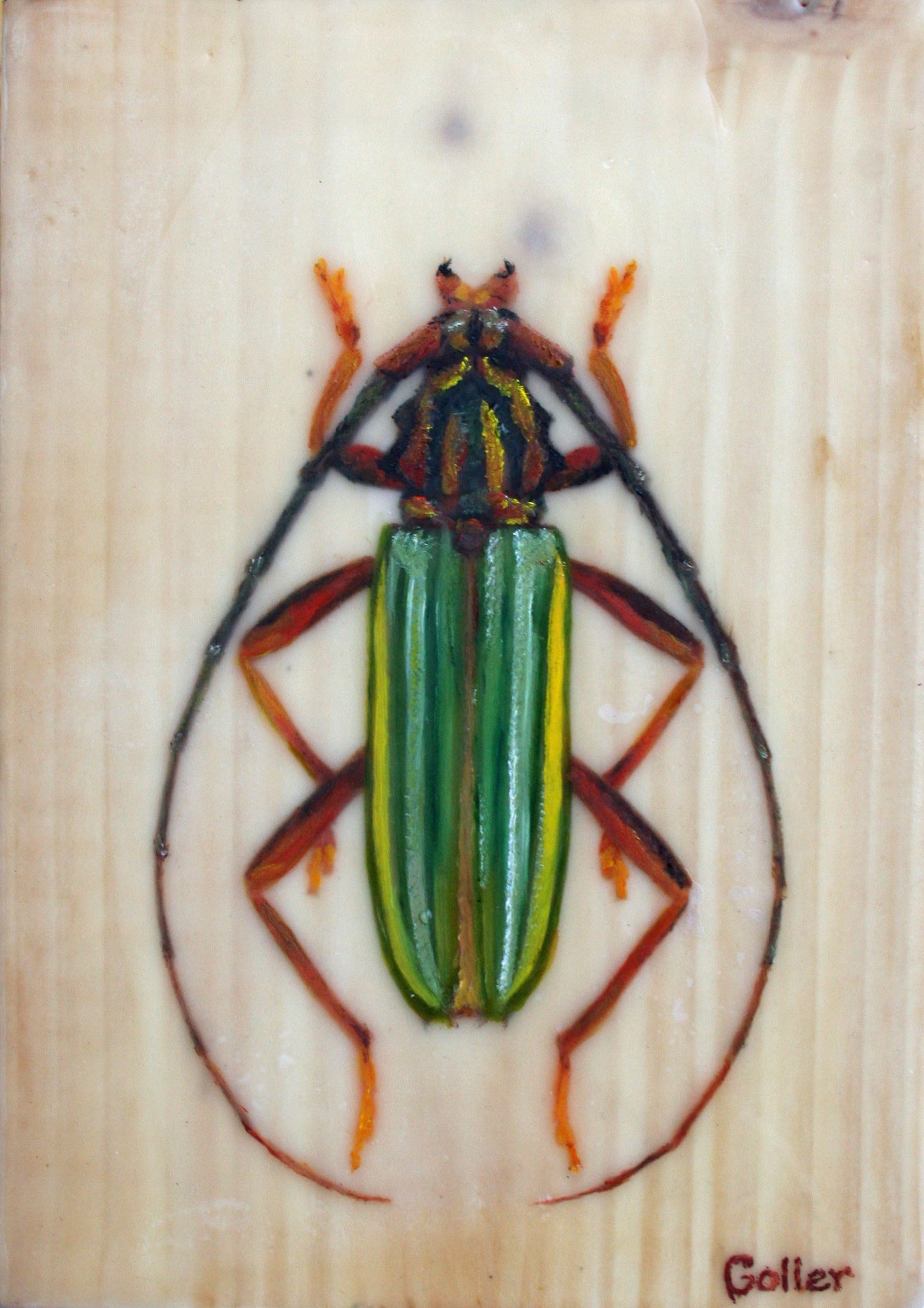 ***SOLD***Beetle II - Encaustic/Mixed Media 7x5