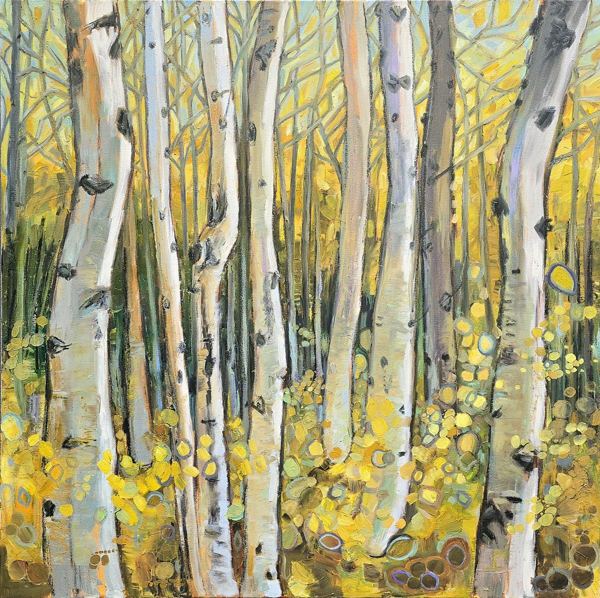Jody Yashenko - Birch Whimsy, Original Oil on gallery wrapped canvas 36x36 (framed)