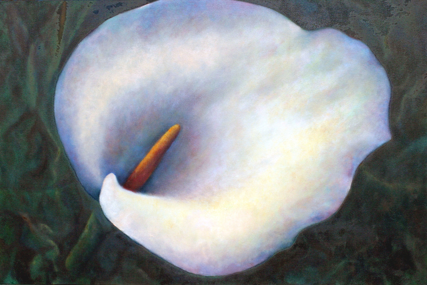 CARRIE GOLLER PRINTS - Blanca, Original 24"x 36"