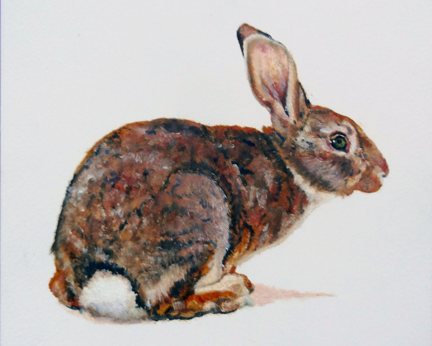 CARRIE GOLLER PRINTS - CREATURES - MORRIS     original oil, 8x10