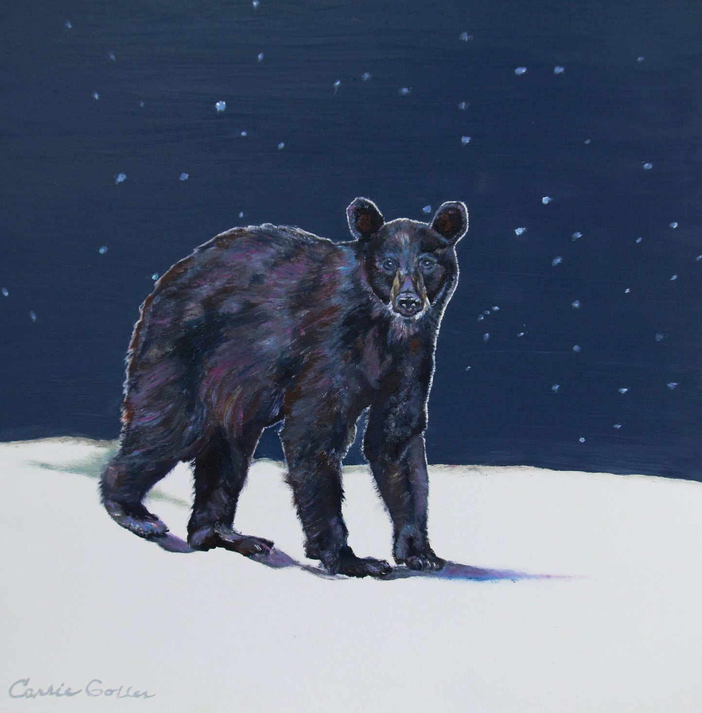 Prints available, original ***SOLD*** Boris - Oil, 12x12 on 1.5" profile wood panel