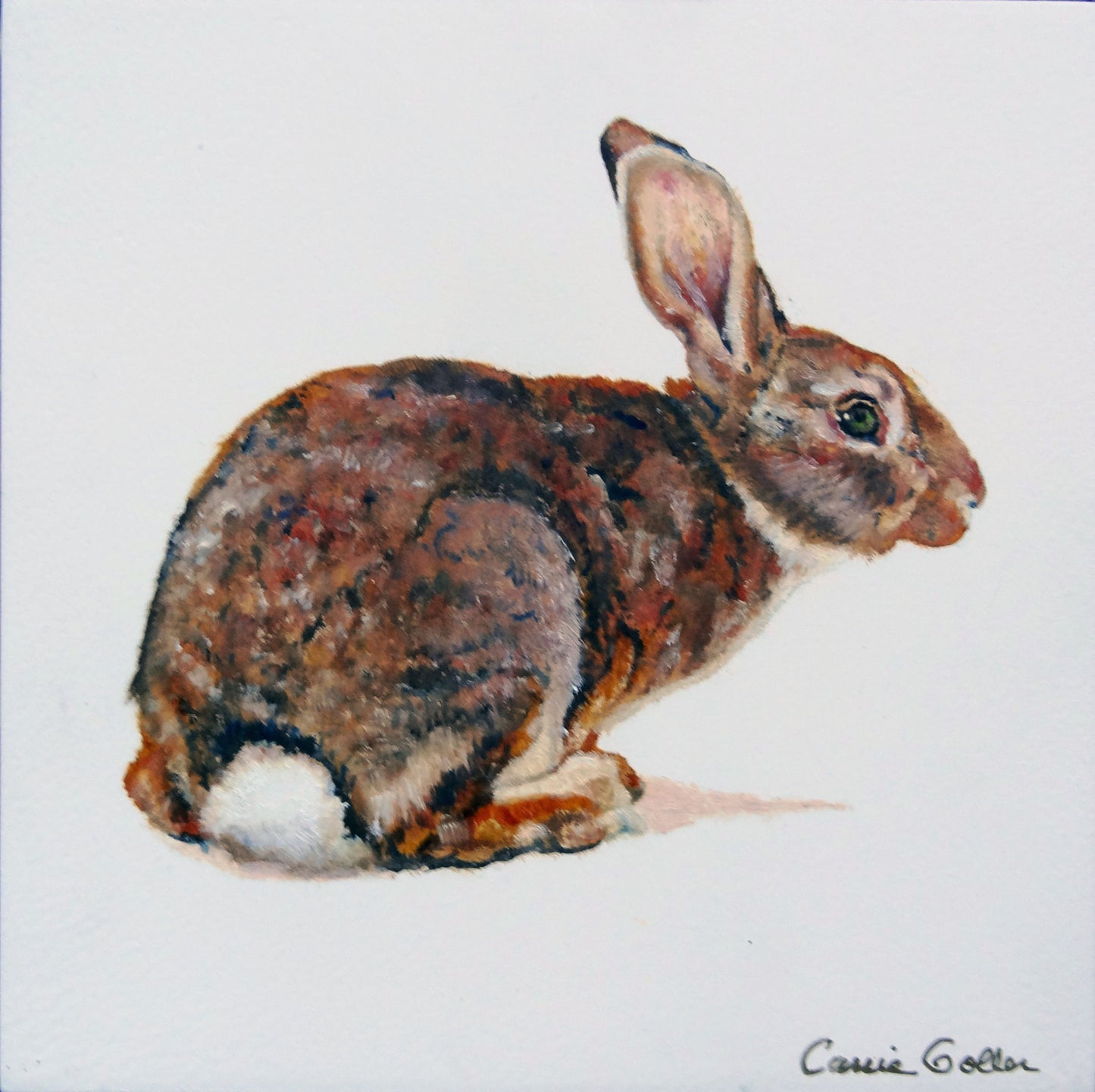 Custom : Creature Portraits by Carrie Goller