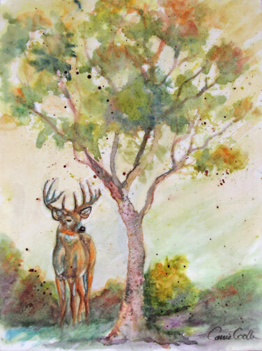 CARRIE GOLLER PRINTS - CREATURES - BUCKMINSTER original encaustic/watercolor, 12x9