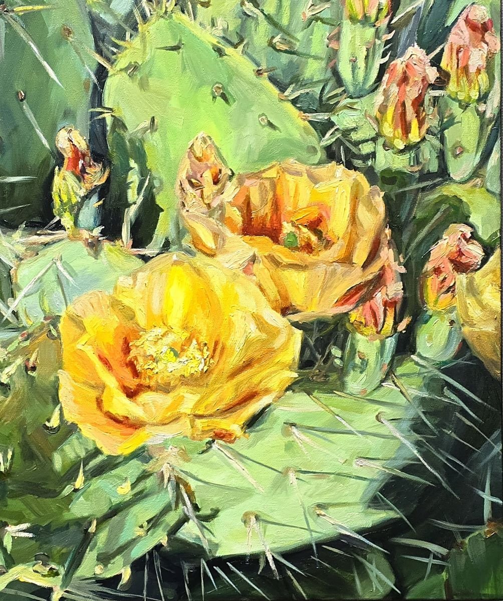 Jody Yashenko - Cactus Flowers, Oil on gallery wrapped canvas, 20x24