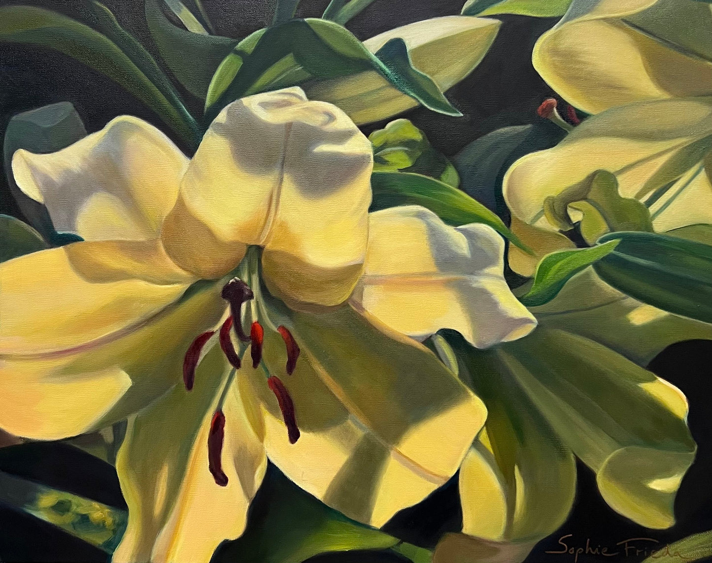 ***SOLD*** SOPHIE FRIEDA - Captivating, Oil on canvas 24x30