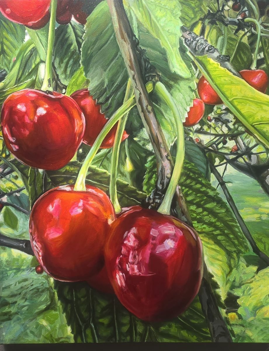 Jody Yashenko - Cherries, Oil on gallery wrapped canvas, 24x30