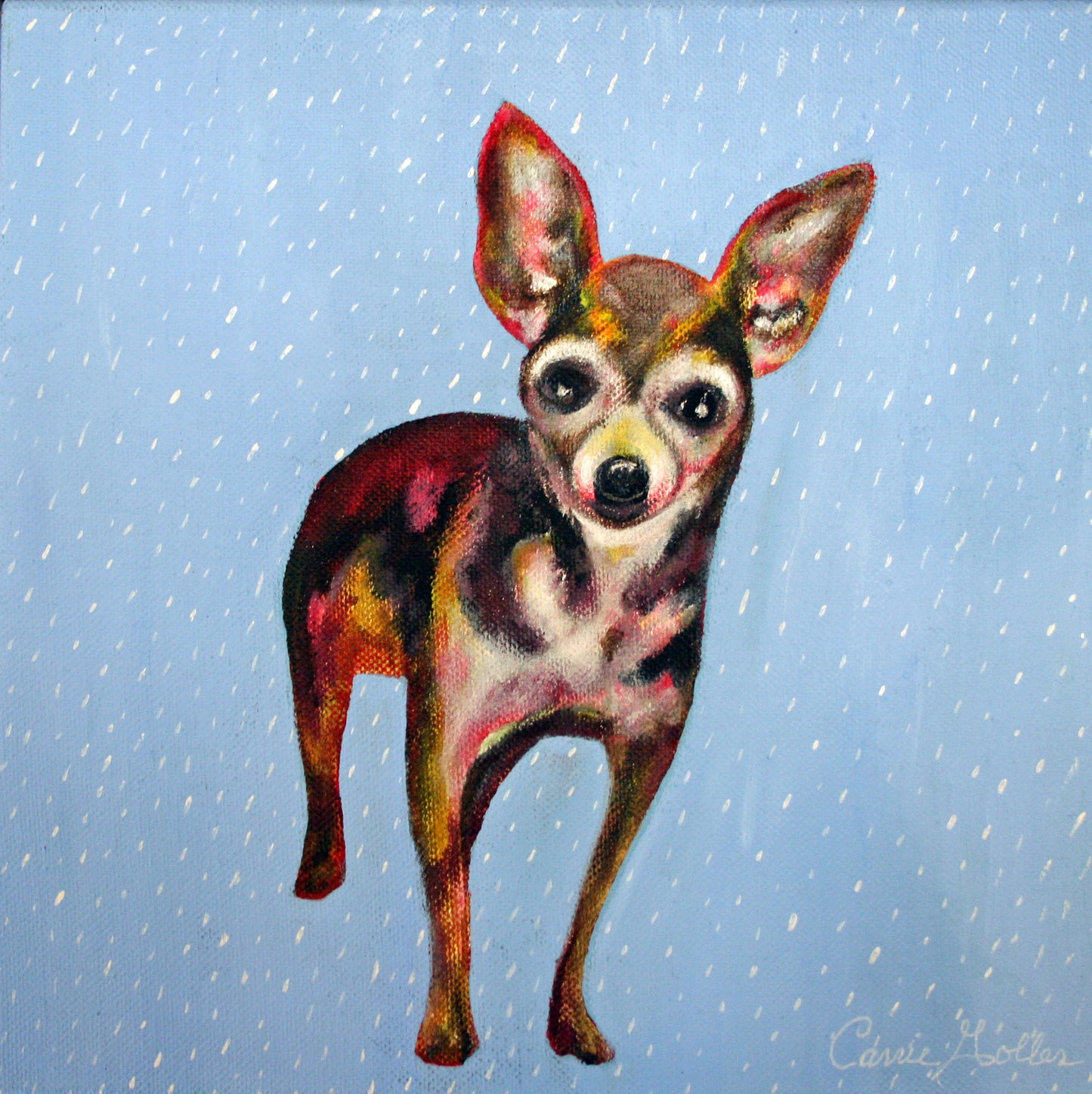 Prints available, original ***SOLD*** Possum, oil 10x10 (Chihuahua)