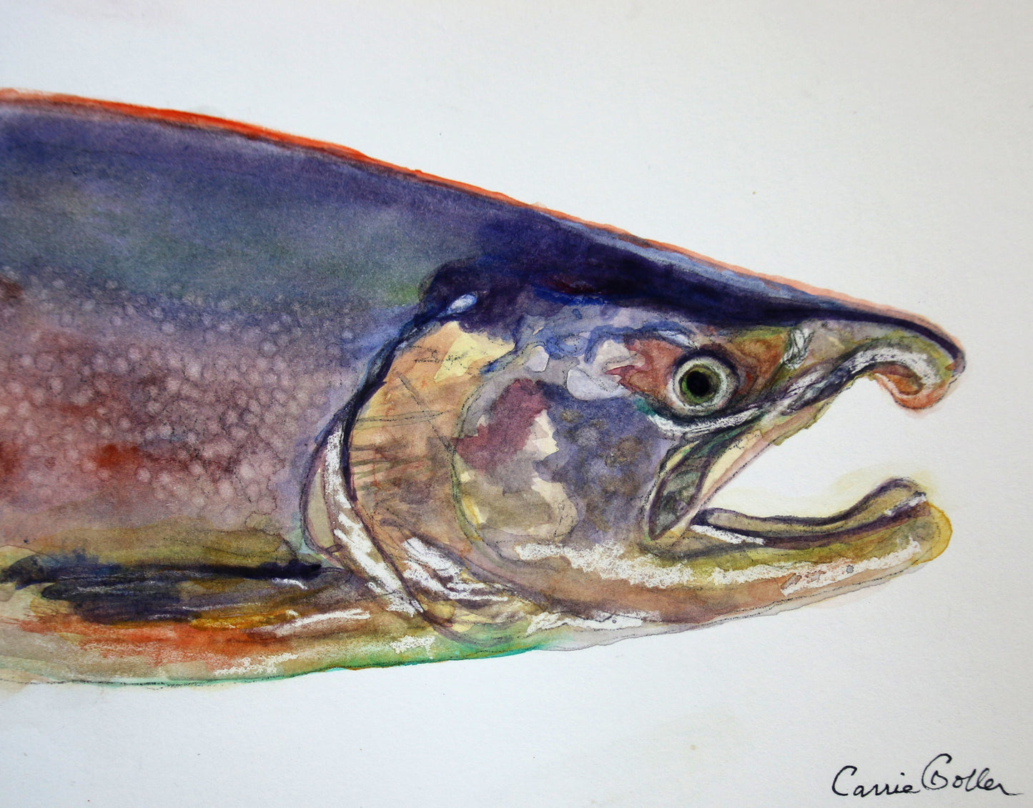 Prints available, original***SOLD***Chinook - Original watercolor - 6x8, framed 8x10