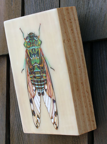 Prints available, original ***SOLD*** Cicada - Encaustic & Mixed Media 7x5 - AVAILABLE AT BAINBRIDGE ISLAND MUSEUM OF ART GALLERY STORE