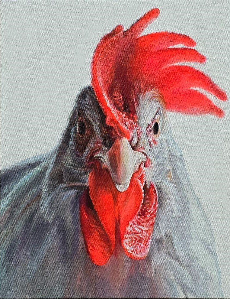 ***SOLD*** Jody Yashenko - Combs and Wattle, Oil on gallery wrapped canvas, 14x11