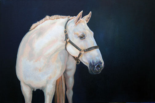 Custom : Creature Portraits by Carrie Goller