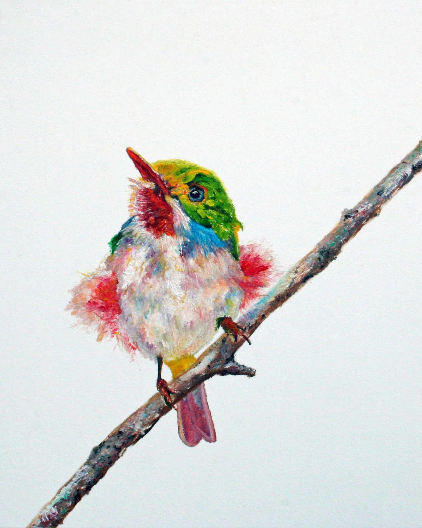 Cuban - CARRIE GOLLER PRINT - BIRDS