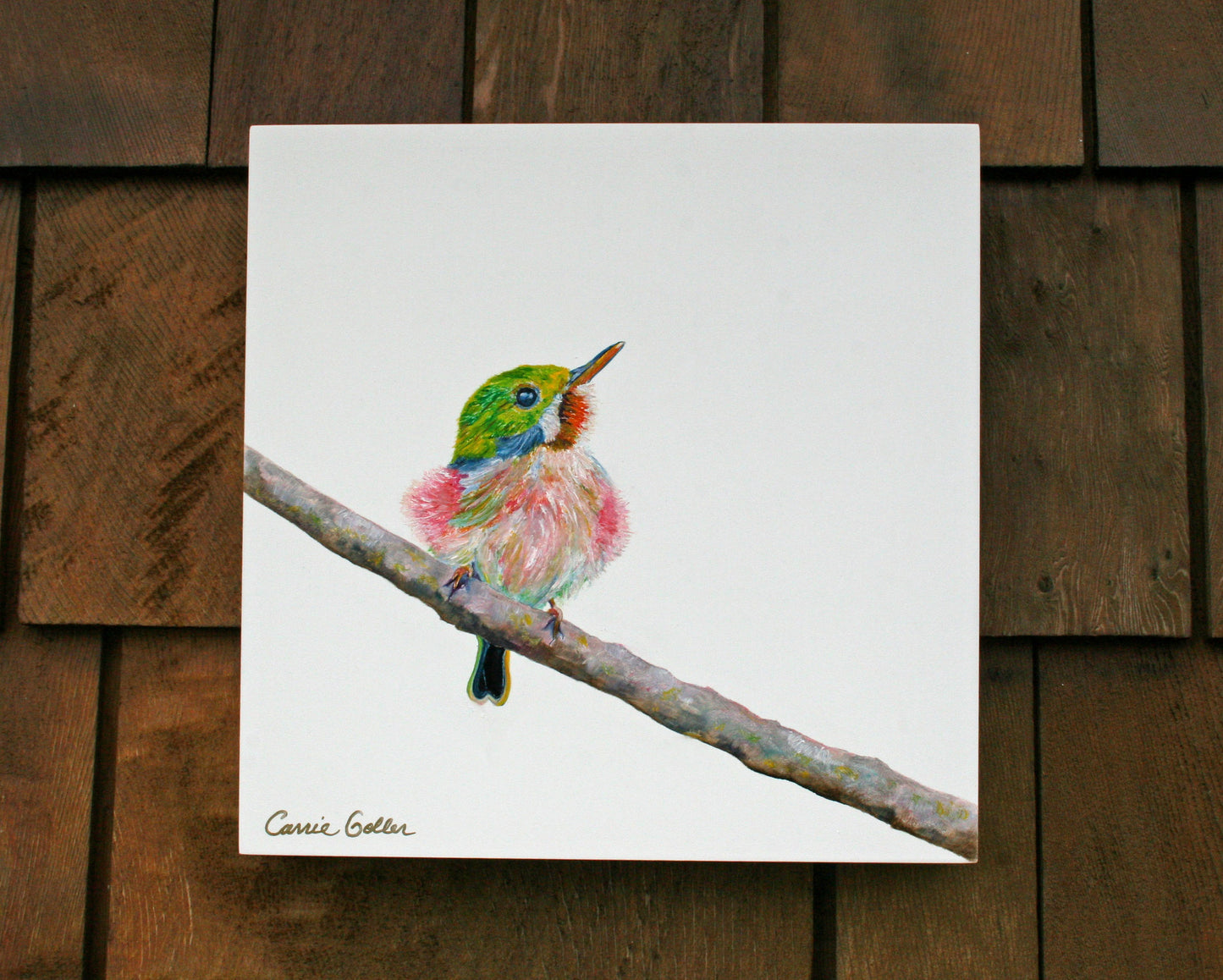 CARRIE GOLLER PRINTS - BIRDS - CUPCAKE (Cuban Tody) - (Original is Oil, 10x10) available at Bainbridge Island Museum of Art Gallery Store