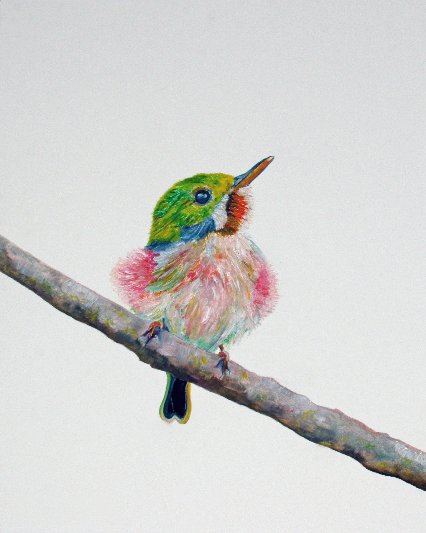 Cupcake - CARRIE GOLLER PRINT- BIRDS