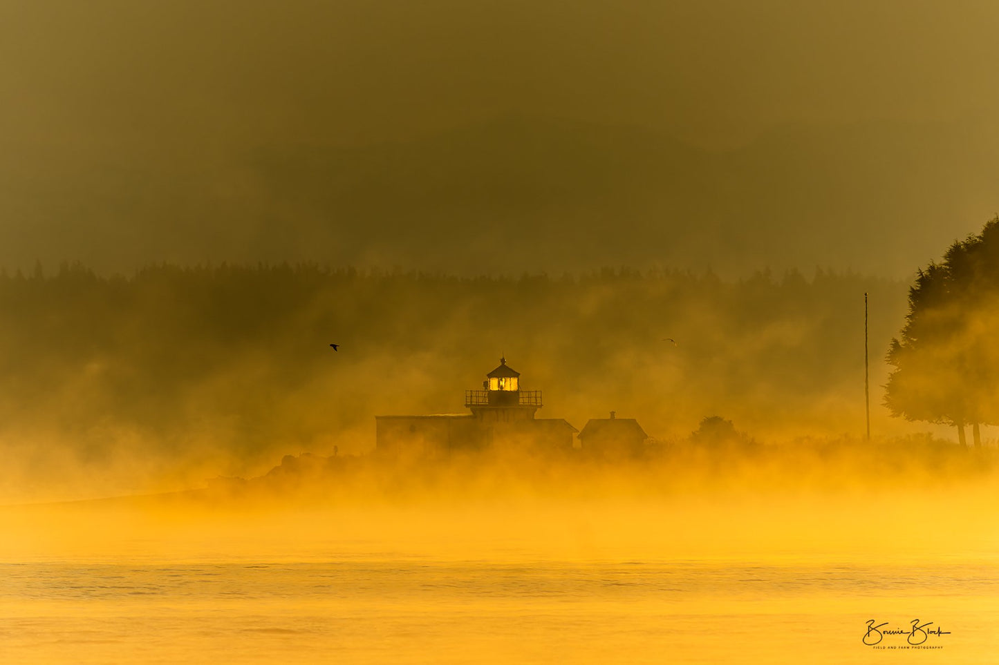 Point No Point Lighthouse - Hansville, Wa.