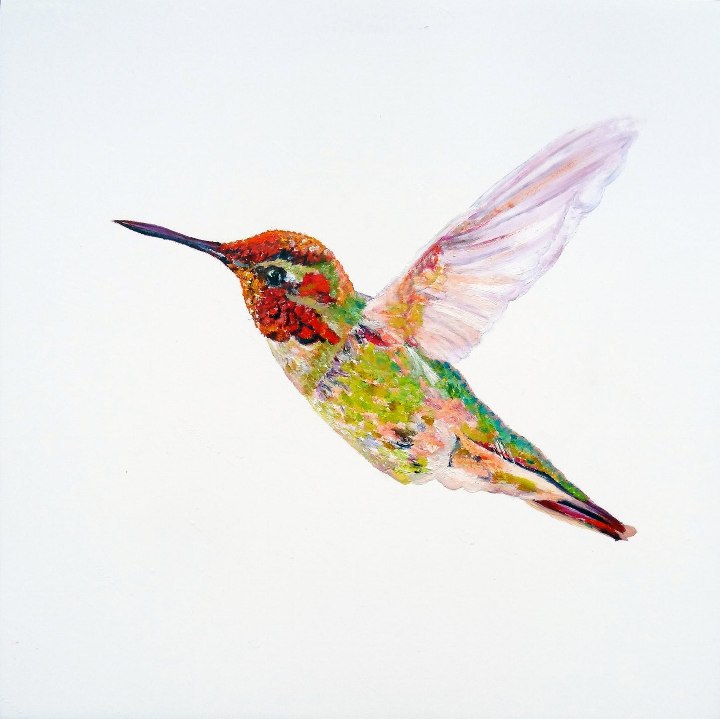 CARRIE GOLLER PRINTS - BIRDS - DOMINO Domino original oil, 10x10