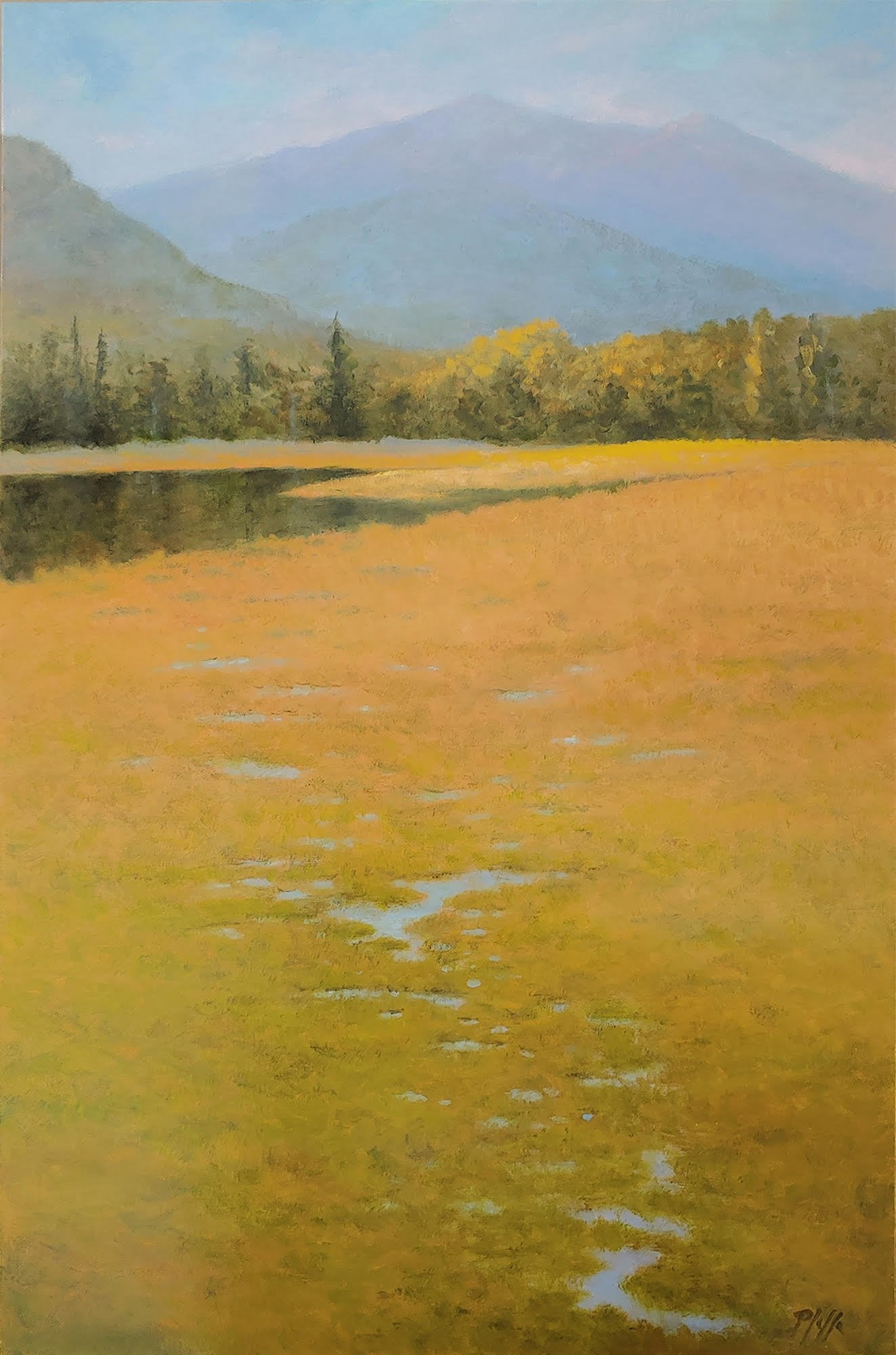 ***SOLD*** TIM PFEIFFER - Dosewallips State Park, oil 20x30 (framed)
