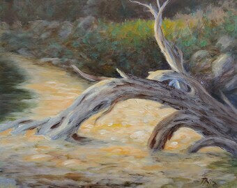 ***SOLD*** TIM PFEIFFER - Driftwood, oil 8x10