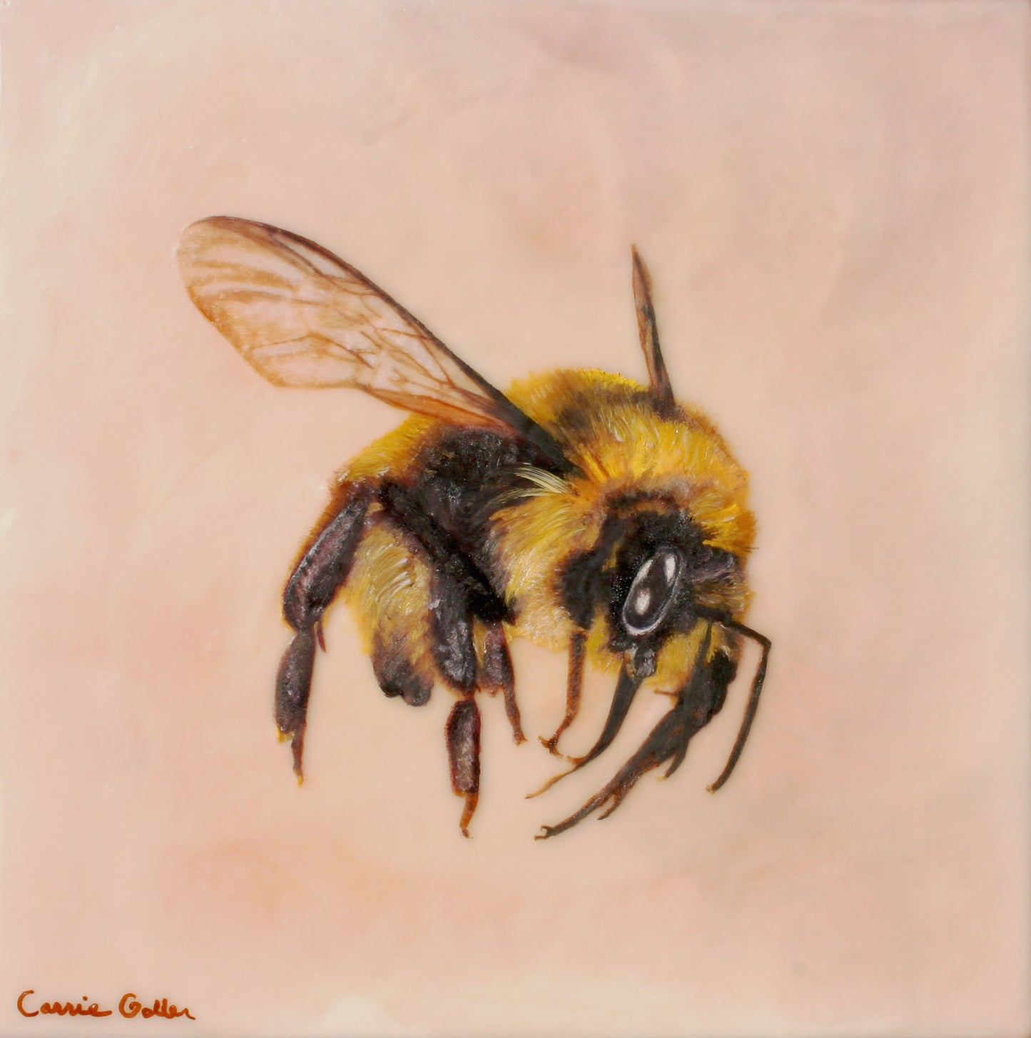 Prints available***SOLD***Pollinator - Egg Tempera - 8x10