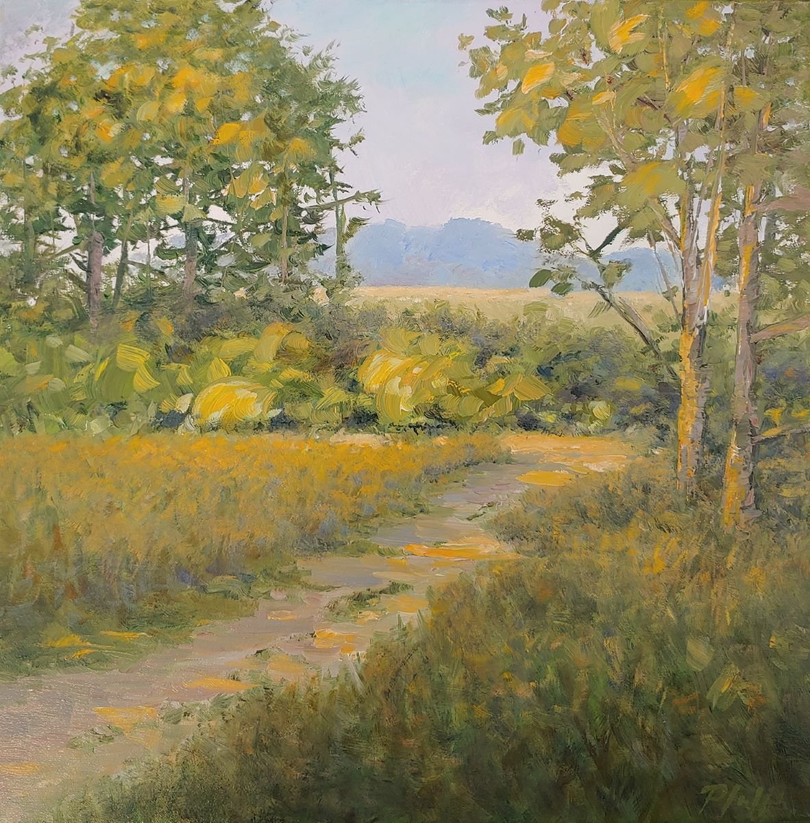 TIM PFEIFFER - Dungeness Spit Recreation Area, oil on gallery wrapped canvas, 12x12