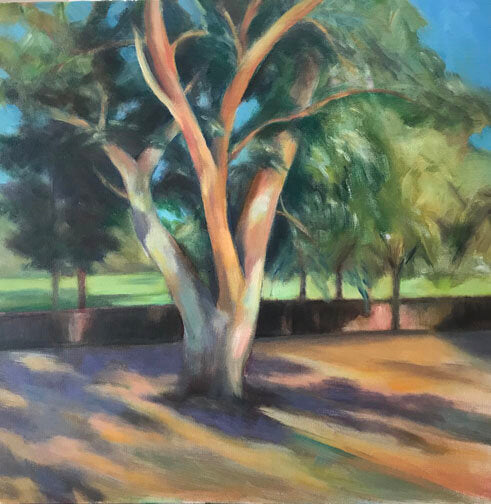 SOPHIE FRIEDA - Eucalyptus, oil on canvas 20x20