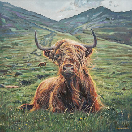 Prints available, original ***SOLD*** Carrie Goller - Fabio, oil 40x40