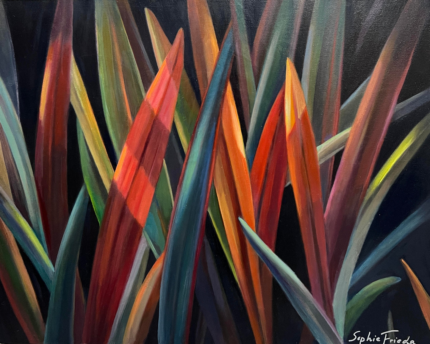 SOPHIE FRIEDA - Fall Flax 11, oil on canvas, 24x30