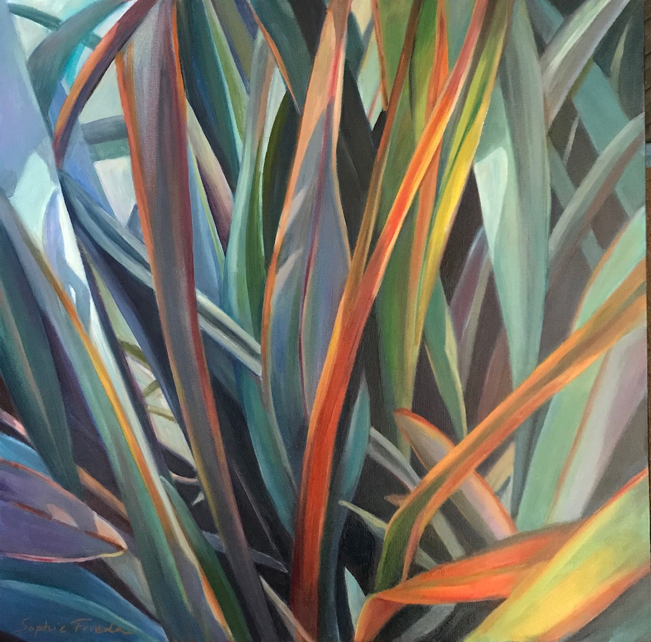 ***SOLD*** SOPHIE FRIEDA - Fascination - Oil on Gallery Wrapped Canvas 24x24