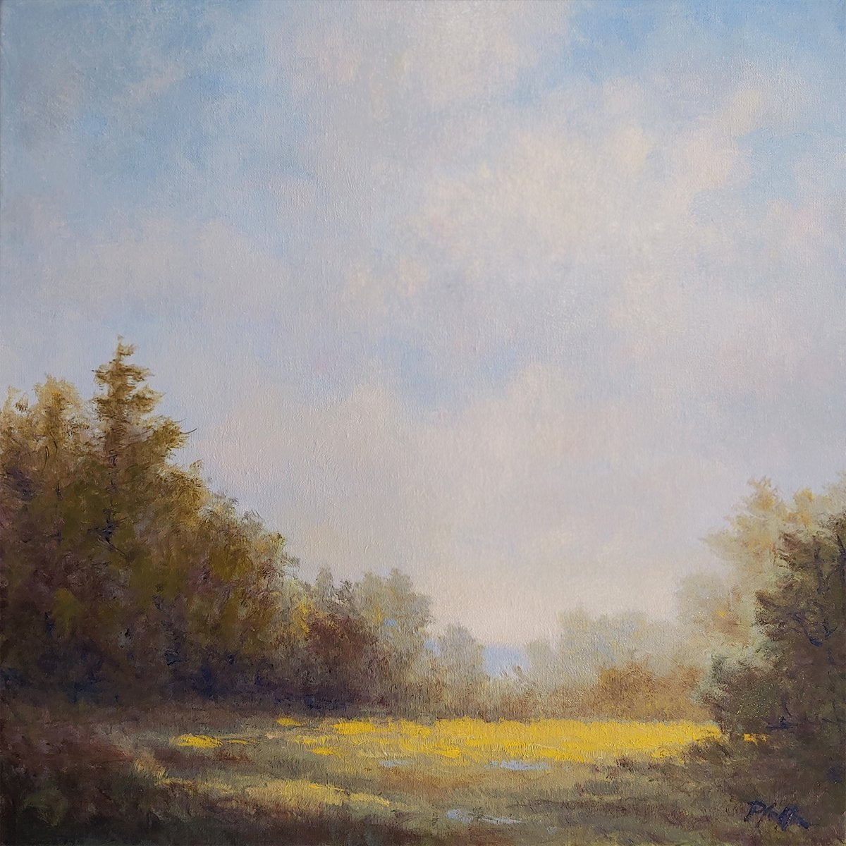 *** SOLD ***TIM PFEIFFER - Fields of Gold, oil on gallery wrap (1.5" depth) canvas, 12 x 12