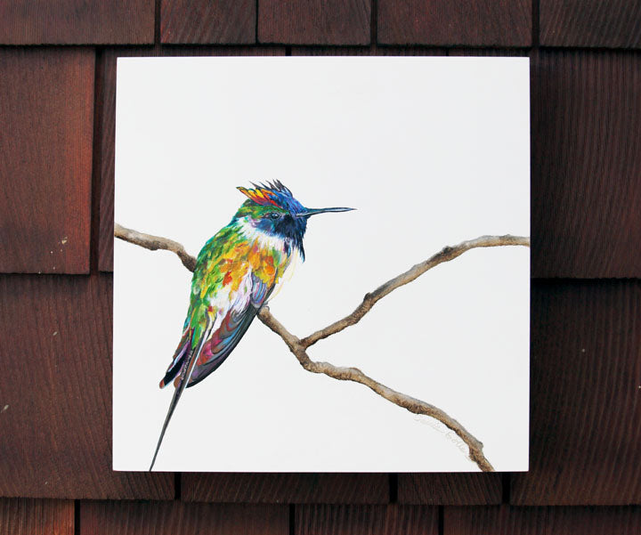 Prints available, original ***SOLD*** Firecracker - Oil 12x12 on wooden panel - AVAILABLE AT BAINBRIDGE ISLAND MUSEUM OF ART STORE