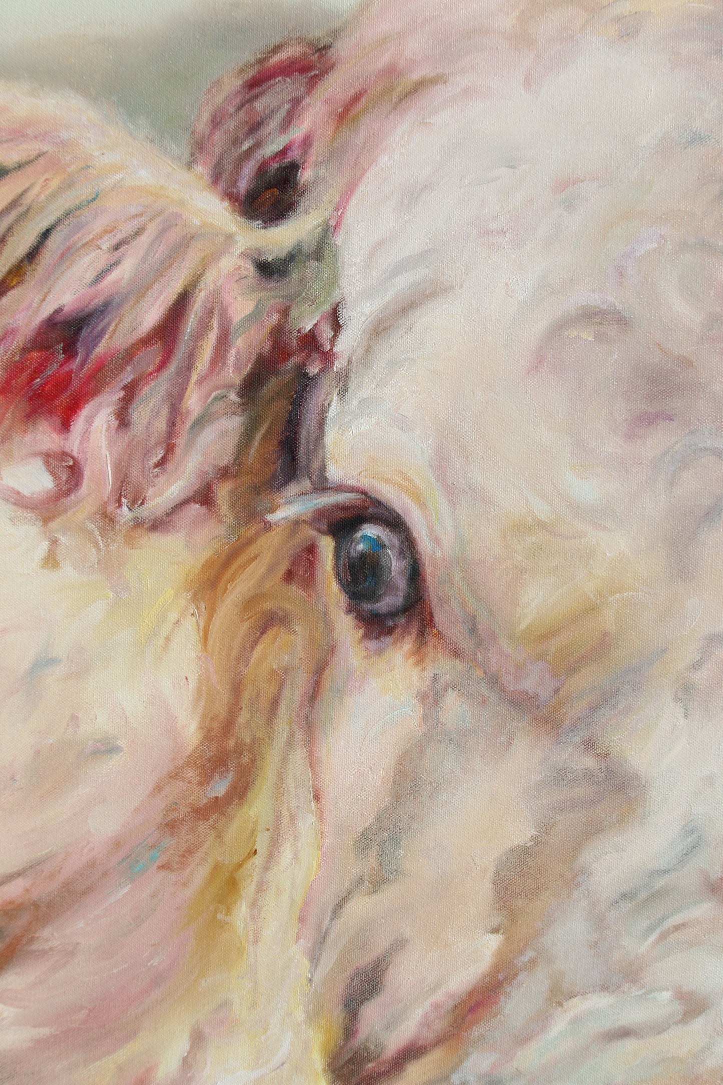 Prints available, original ***SOLD*** Florence - Oil 48x60