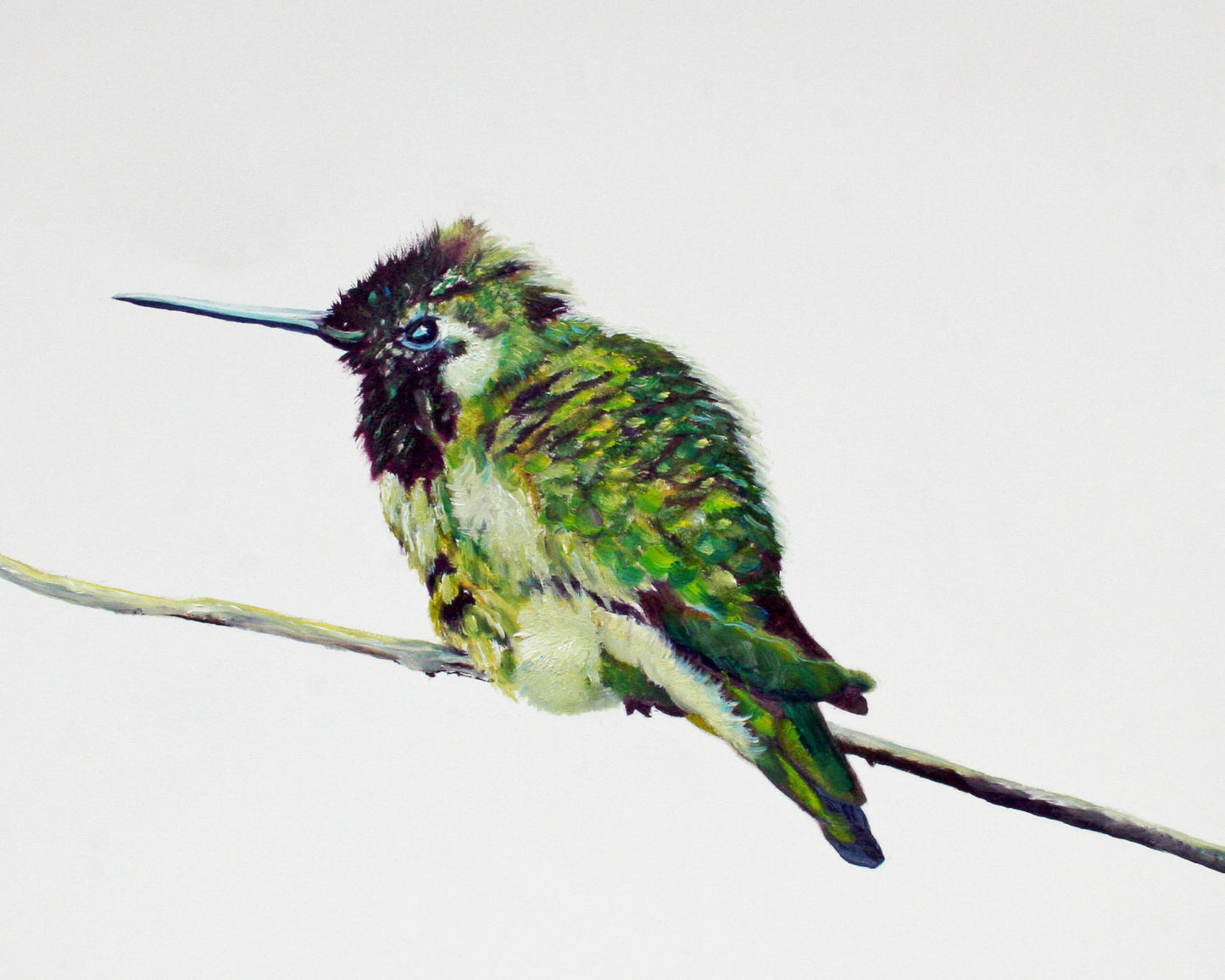 CARRIE GOLLER PRINTS - BIRDS - FONTANELLE    original oil, 8x10