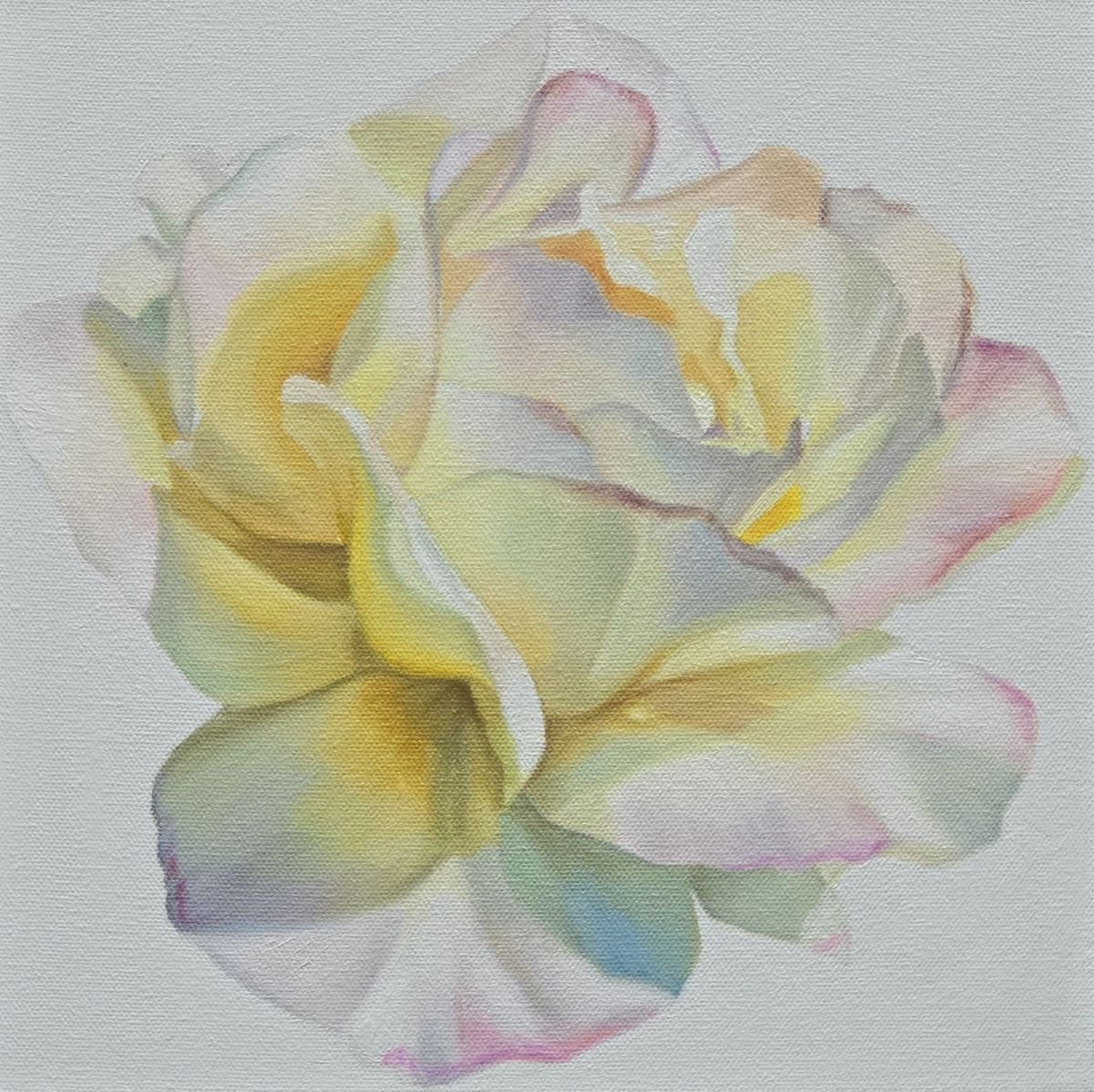 ***SOLD***Jody Yashenko - Friend, Oil on gallery wrapped canvas, 12x12