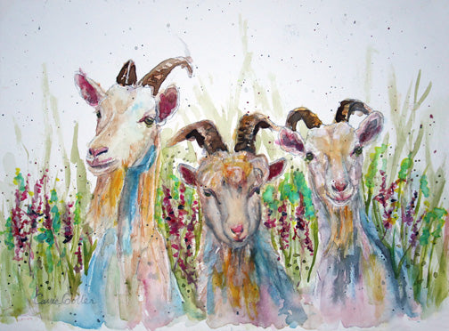 Prints available, original ***SOLD*** Carrie Goller - Goat Trio, watercolor 9x12