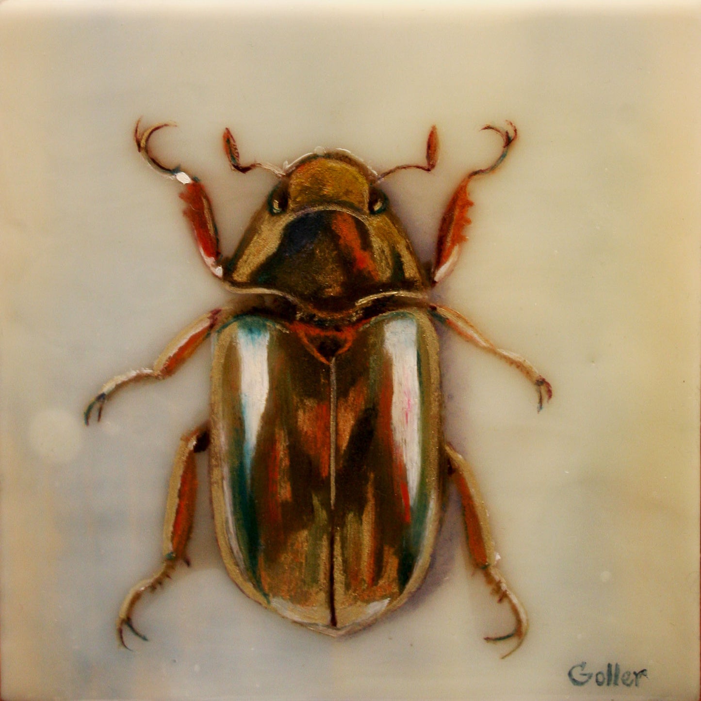 Prints available, original ***SOLD*** Gold Bug II - Encaustic/Mixed Media 5x5